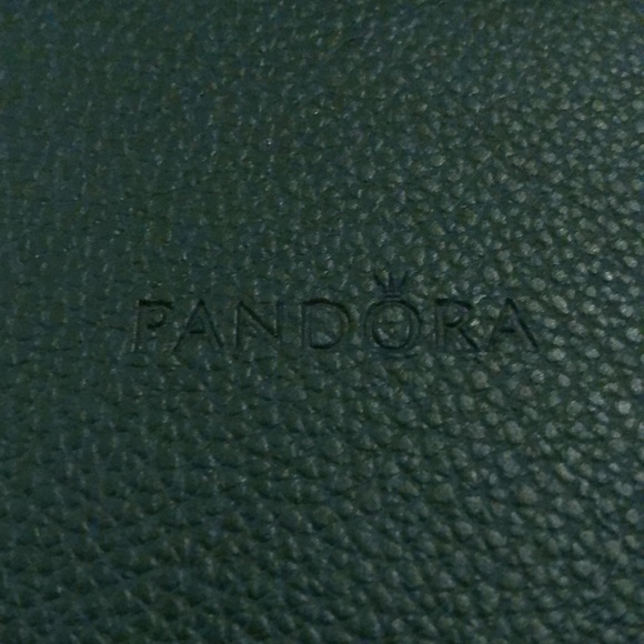 PANDORA TRAVEL ACCESSORY ORGANIZER CASE - Picture 3 of 5